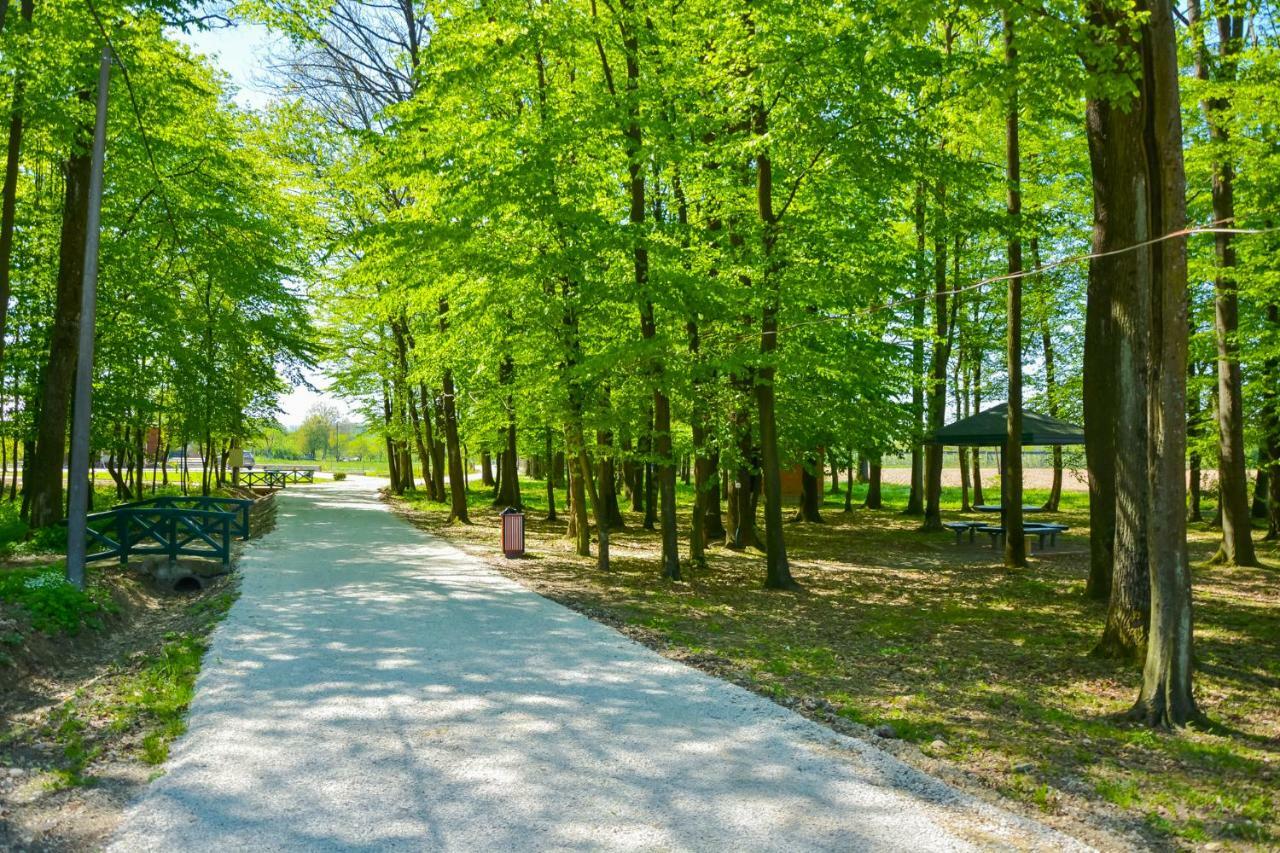 Hotel & Distillery Monogram Gradac  Kültér fotó